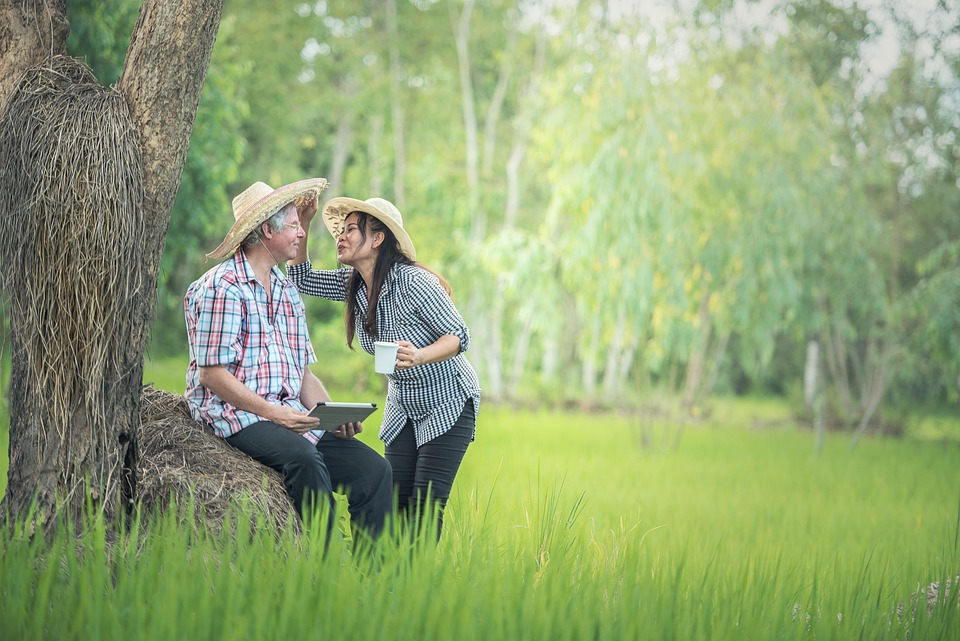 การดูแลผู้สูงอายุ